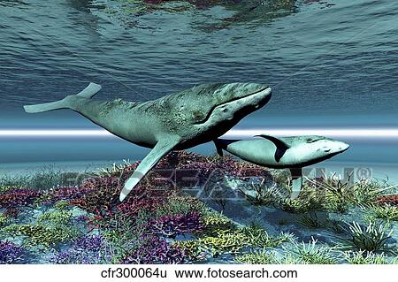 Humpback whale mother and calf swim over a colorful coral reef. View Large Illustration Stock Illustration - Humpback whale mother and calf swim over a colorful coral reef.. Fotosearch