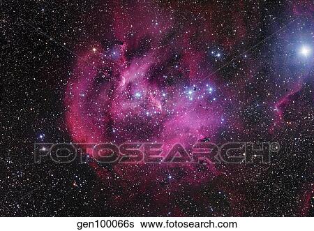 IC 2944, The Running Chicken Nebula View Large Photo Image Stock Photograph - IC 2944, The Running Chicken Nebula. Fotosearch