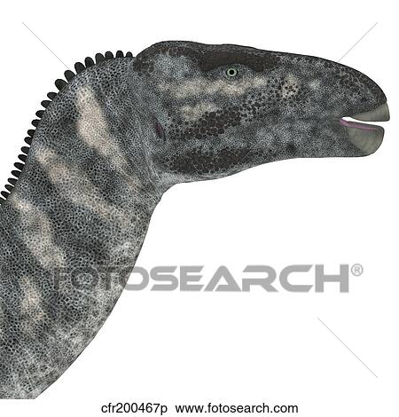 Iguanodon dinosaur head. View Large Illustration Stock Illustration - Iguanodon dinosaur head.. Fotosearch