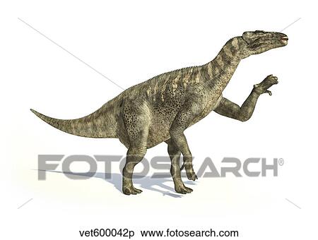 Iguanodon dinosaur in dynamic posture. View Large Illustration Stock Illustration - Iguanodon dinosaur in dynamic posture.. Fotosearch