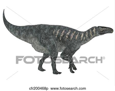 Iguanodon dinosaur, white background. View Large Illustration Stock Illustration - Iguanodon dinosaur, white background.. Fotosearch
