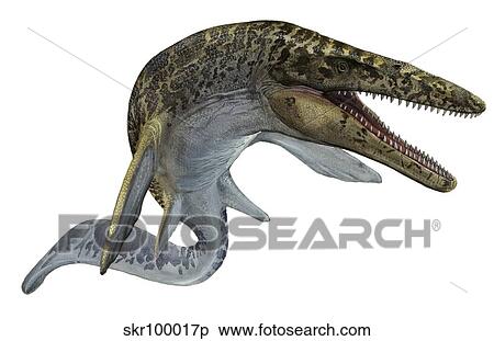 Illustration of a Mosasaurus from the Cretaceous period. View Large Illustration Stock Illustration - Illustration of a Mosasaurus from the Cretaceous period.. Fotosearch