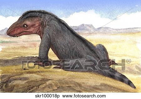 Illustration of a Moschowhaitsia vjuschkovi. View Large Illustration Stock Illustration - Illustration of a Moschowhaitsia vjuschkovi.. Fotosearch