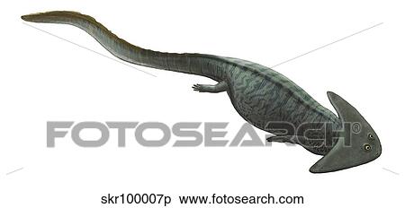 Illustration of a prehistoric era Diplocaulus. View Large Illustration Stock Illustration - Illustration of a prehistoric era Diplocaulus.. Fotosearch