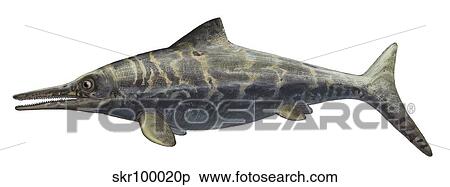 Illustration of a prehistoric Ophthalmosaurus discus. View Large Illustration Stock Illustration - Illustration of a prehistoric Ophthalmosaurus discus.. Fotosearch