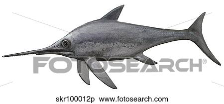 Illustration of an Eurhinosaurus from the prehistoric era. View Large Illustration Stock Illustration - Illustration of an Eurhinosaurus from the prehistoric era.. Fotosearch