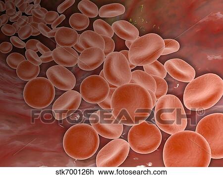 Inside view of the artery with red blood cells. View Large Illustration Drawing - Inside view of the artery with red blood cells.. Fotosearch