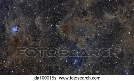 Iris Nebula and surrounding dusty region in Cepheus constellation. View Large Photo Image Stock Photograph - Iris Nebula and surrounding dusty region in Cepheus constellation.. Fotosearch