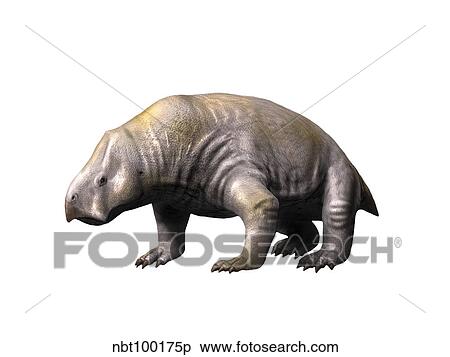 Ischigualastia is a dicynodont from the Late Triassic period. View Large Illustration Stock Illustration - Ischigualastia is a dicynodont from the Late Triassic period.. Fotosearch