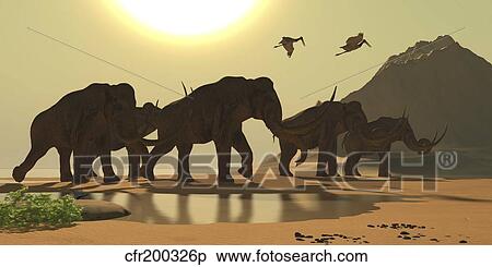 Jabiru birds fly past a herd of Columbian Mammoths. View Large Illustration Stock Illustration - Jabiru birds fly past a herd of Columbian Mammoths.. Fotosearch