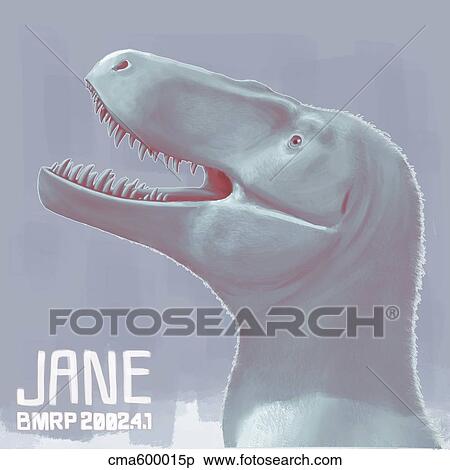 Stock Illustration - Jane is a fossil specimen of small tyrannosaurid dinosaur.. Fotosearch