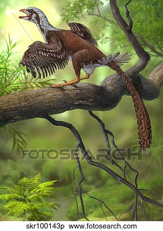 Stock Illustration - Jeholornis prima perched on a tree branch during the Early Cretaceous Period.. Fotosearch