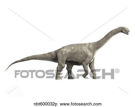 Jobaria tiguidensis, Middle Jurassic of Niger. View Large Illustration Stock Illustration - Jobaria tiguidensis, Middle Jurassic of Niger.. Fotosearch