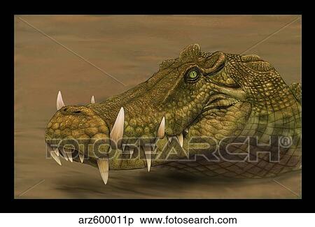 Stock Illustration - Kaprosuchus saharicus head detail.. Fotosearch