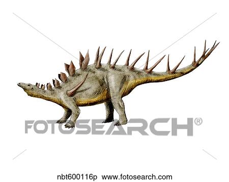 Kentrosaurus dinosaur. View Large Illustration Stock Illustration - Kentrosaurus dinosaur.. Fotosearch