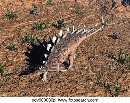 Kentrosaurus dinosaur walking in the desert. View Large Illustration Stock Illustration - Kentrosaurus dinosaur walking in the desert.. Fotosearch