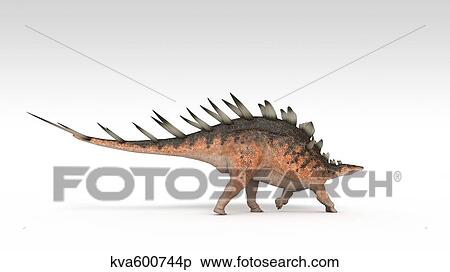 Stock Illustration - Kentrosaurus dinosaur, white background.. Fotosearch