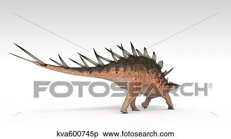 Stock Illustration - Kentrosaurus dinosaur, white background.. Fotosearch