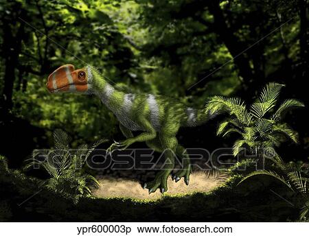Kileskus aristotocus of the Middle Jurassic Period. View Large Illustration Stock Illustration - Kileskus aristotocus of the Middle Jurassic Period.. Fotosearch