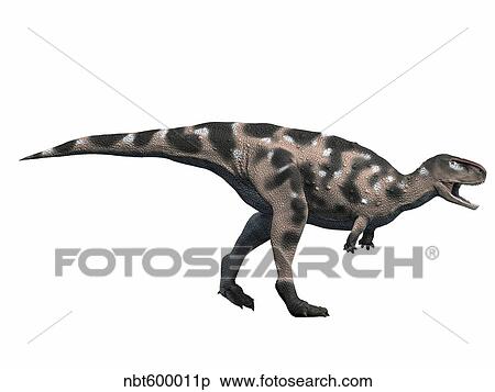 Stock Illustration - Kryptops palaios, Early Cretaceous of Niger.. Fotosearch