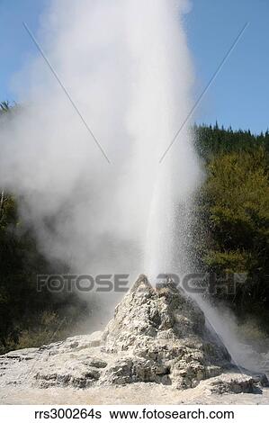 Lady Knox Geyser, Wai-O-Tapu Geothermal area, Taupo Volcanic Zone, New Zealand. View Large Photo Image Stock Photograph - Lady Knox Geyser, Wai-O-Tapu Geothermal area, Taupo Volcanic Zone, New Zealand.. Fotosearch