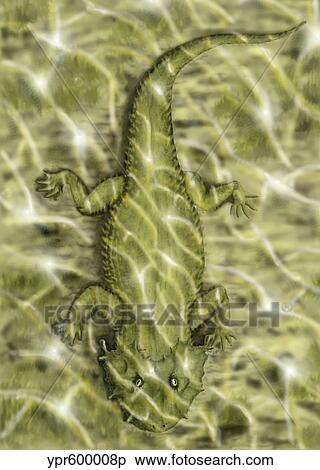 Lanthanosuchus, an extinct genus of parareptile. View Large Illustration Stock Illustration - Lanthanosuchus, an extinct genus of parareptile.. Fotosearch