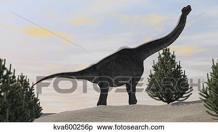 Large Brachiosaurus amongst pine trees. View Large Illustration Stock Illustration - Large Brachiosaurus amongst pine trees.. Fotosearch
