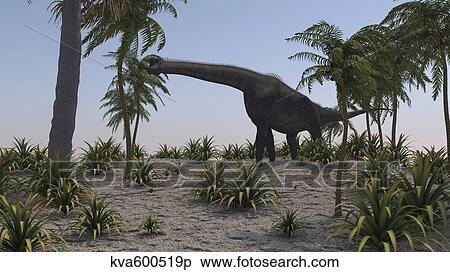 Large Brachiosaurus grazing on foliage. View Large Illustration Stock Illustration - Large Brachiosaurus grazing on foliage.. Fotosearch