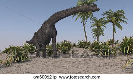 Large Brachiosaurus grazing. View Large Illustration Stock Illustration - Large Brachiosaurus grazing.. Fotosearch
