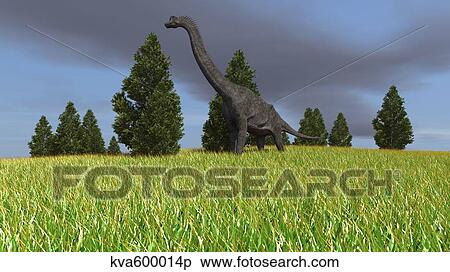 Large Brachiosaurus in an open field. View Large Illustration Stock Illustration - Large Brachiosaurus in an open field.. Fotosearch