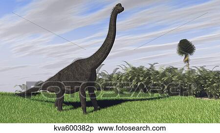 Large Brachiosaurus in an open field. View Large Illustration Stock Illustration - Large Brachiosaurus in an open field.. Fotosearch