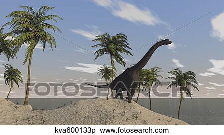 Large Brachiosaurus roaming an tropical climate landscape. View Large Illustration Stock Illustration - Large Brachiosaurus roaming an tropical climate landscape.. Fotosearch