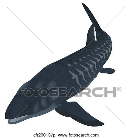 Leedsichthys, an extinct bony fish from the Mesozoic Era. View Large Illustration Stock Illustration - Leedsichthys, an extinct bony fish from the Mesozoic Era.. Fotosearch