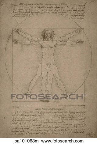 Leonardo da Vinci's Vitruvian Man, circa 1490. View Large Illustration Stock Illustration - Leonardo da Vinci's Vitruvian Man, circa 1490.. Fotosearch