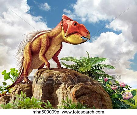 Leptoceratops and his favorite plants. View Large Illustration Stock Illustration - Leptoceratops and his favorite plants.. Fotosearch