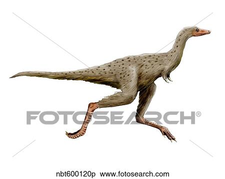 Stock Illustration - Linhenykus dinosaur.. Fotosearch