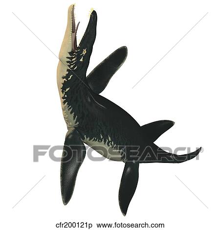 Stock Illustration - Liopleurodon, a large carnivorous marine reptile.. Fotosearch