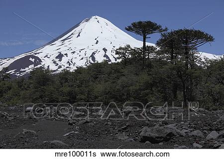 Llaima volcano, Araucania region, Chile. View Large Photo Image Stock Photograph - Llaima volcano, Araucania region, Chile.. Fotosearch
