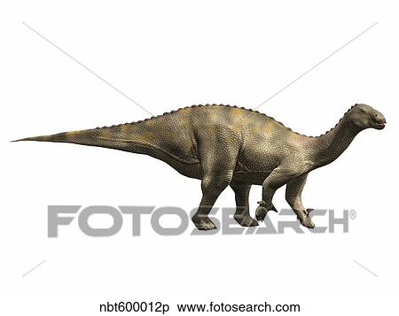 Lurdusaurus arenatus, Early Cretaceous of Niger. View Large Illustration Stock Illustration - Lurdusaurus arenatus, Early Cretaceous of Niger.. Fotosearch
