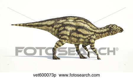 Stock Illustration - Maiasaura dinosaur on white background.. Fotosearch