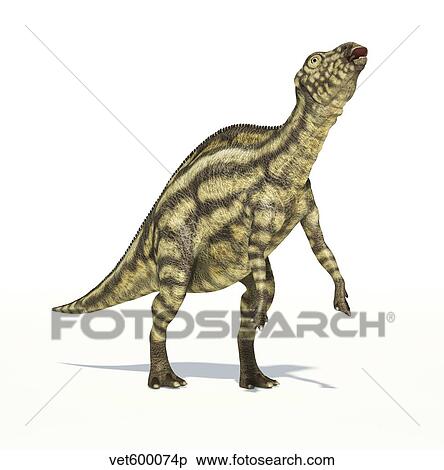 Maiasaura dinosaur on white background. View Large Illustration Stock Illustration - Maiasaura dinosaur on white background.. Fotosearch