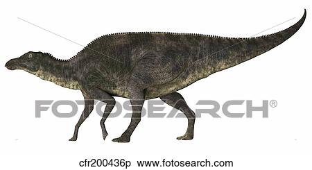Stock Illustration - Maiasaura dinosaur.. Fotosearch
