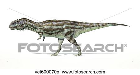 Stock Illustration - Majungasaurus dinosaur on white background.. Fotosearch
