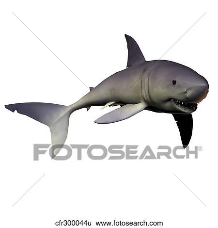 Stock Illustration - Mako Shark. Fotosearch