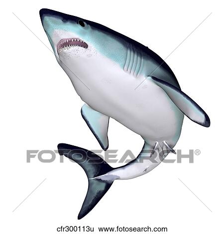 Mako Shark View Large Illustration Stock Illustration - Mako Shark. Fotosearch