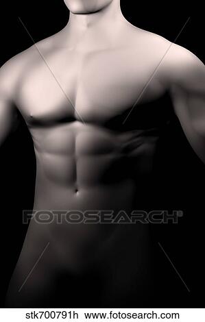 Drawing - Male body, waist up.. Fotosearch