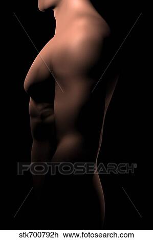 Male body, waist up, side view. View Large Illustration Drawing - Male body, waist up, side view.. Fotosearch