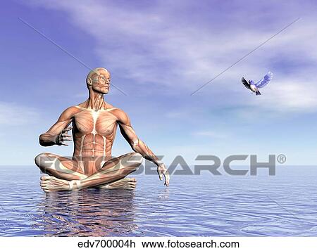 Drawing - Male musculature in lotus position while looking at a little bird flying.. Fotosearch