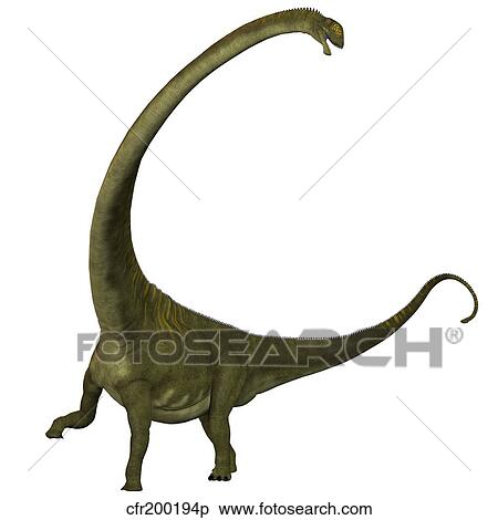 Mamenchisaurus, a plant-eating sauropod dinosaur. View Large Illustration Stock Illustration - Mamenchisaurus, a plant-eating sauropod dinosaur.. Fotosearch