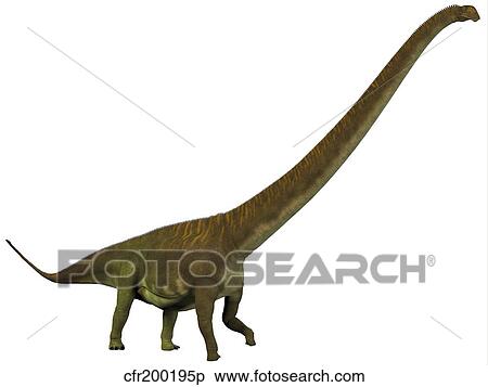 Mamenchisaurus, a plant-eating sauropod dinosaur. View Large Illustration Stock Illustration - Mamenchisaurus, a plant-eating sauropod dinosaur.. Fotosearch